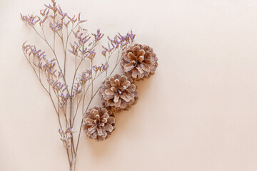Autumn simple composition with pine cones and dried flowers on a beige background. Space for text. Flat lay. Postcard, concept card.