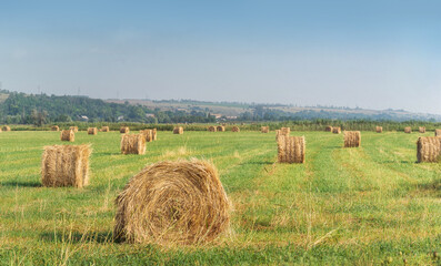 Haystacks on the field on a summer day