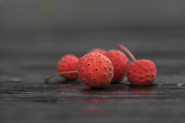 close up of a strawberry