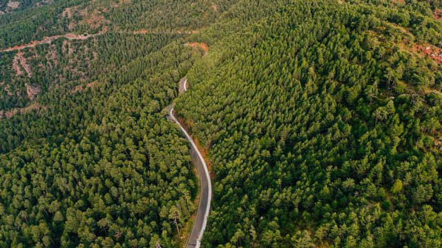 Aerial view of country road stretching through forested landscape of Pyrenees