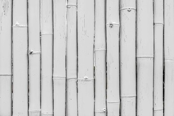 White old Bamboo fence texture and background seamless