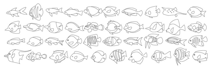 Tropical fish vector icon.outline vector icon isolated on white background tropical fish.