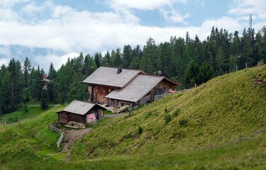 Fototapeta na wymiar nature meadow in the mountains of the austrian alps