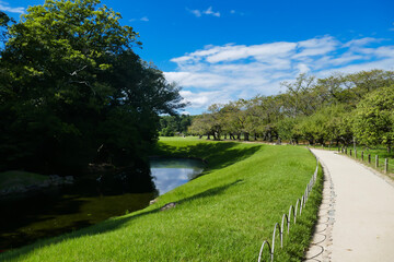 landscape with river
