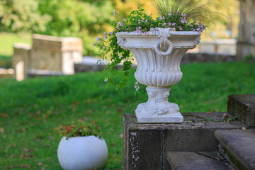 vintage vase with flowers in the garden 