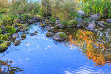 stones in water