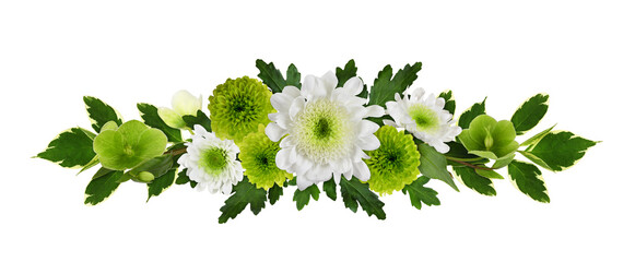 Green hellebore flowers, chrysanthemuses and decoratiove leaves  in a line floral arrangement isolated