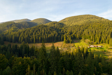 Beautiful view of the colorful mountains covered coniferous forests. Colorful sunset. Ukraine