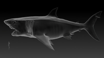 Obraz premium MEGALADON BPR Render, of background. 3d rendering