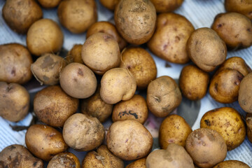 Raw dirty potatoes in market. Potatoes as background.