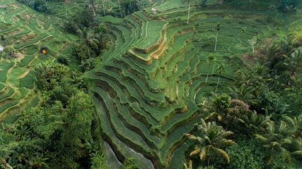 Selbstklebende Fototapeten Arial Landscape of Rice Terrace Tegallalang Ubud, Bali Indonesia.  © JohanAbdullah