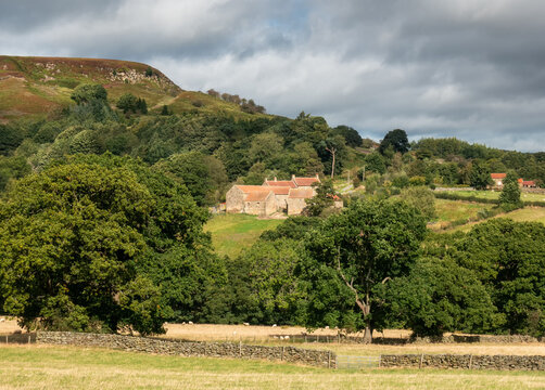 A traditional farmstead in the North York Moors