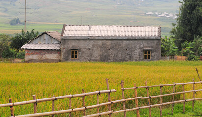 Beautiful rural scenery in Sapa, Vietnam