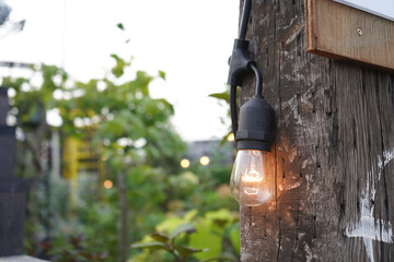 Selective of an old burning lightbulb in the garden