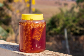 Pote com mel e favos de mel de abelha.