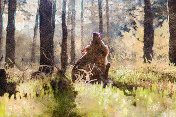 Portrait of a dog sitting on green grass in the woods. Small redheaded pet of mixed breed with his muzzle up to the sky. Morning sunshine. Digital watercolor painting