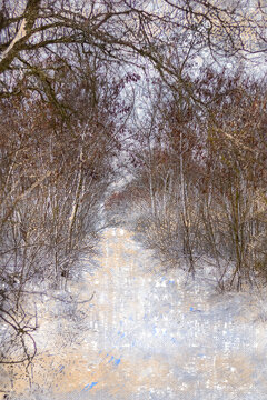 An empty winter park. A path covered with snow among the bushes and trees. Digital watercolor painting
