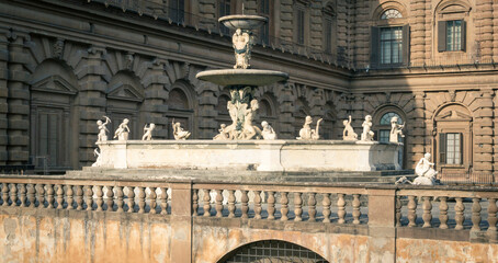 Fototapeta na wymiar The fountain of the Palazzo Pitti