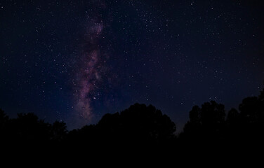Fototapeta na wymiar Milky Way rising over a forest