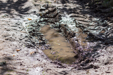 Fototapete bei efototapeten.de bestellen   