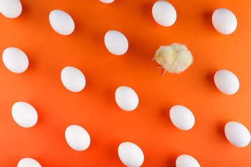 pattern with eggs and little chick on orange background top view