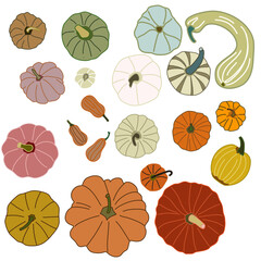Fototapeta na wymiar seamless pattern with pumpkins vegetable autumn leaves