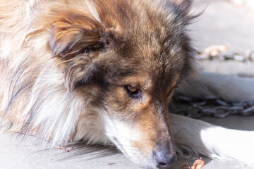 Fototapete bei efototapeten.de bestellen   