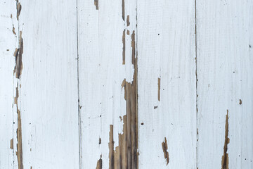 Old wooden wall texture background