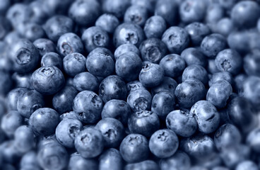 Blueberries (blueberry) fresh close up background