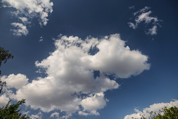 Cloud in the shape of a large shark head