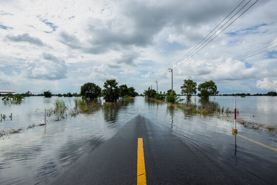 Thailand, Flood, Climate Change, Water, Accidents and Disasters