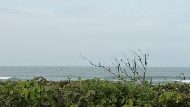 praia e &aacute;rvores