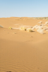 sand dunes in the desert as background