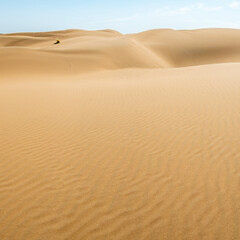 sand dunes in the desert as background