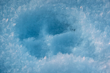 Paw prints in snow. Dog footprint on white snow.