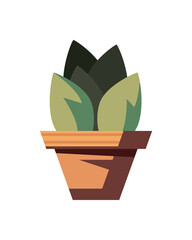 Plant inside pot