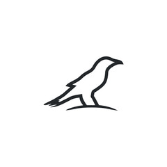 Bird logo design
