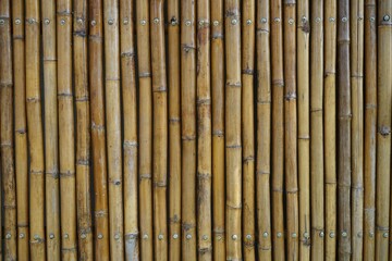 Free space bamboo texture background - 459717448