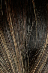 Fototapeta premium Mixed hair background