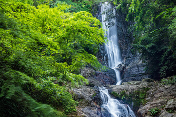 菅生の滝（福岡県北九州市）