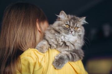Fluffy grey cat with teen girl