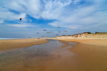 Beautiful beach in Aveiro