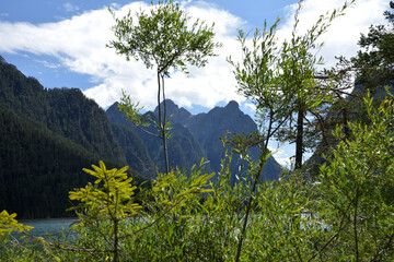 Mounts and forests over the lake