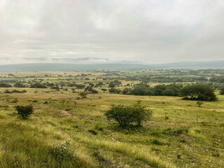 Fototapeta na wymiar landscape with field and blue sky - Victoria Guanajuato