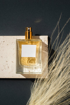 Transparent bottle of perfume on stone plate on a grey background. Fragrance presentation with daylight. Trending concept in natural materials with dry plant. Women's and men's essence.