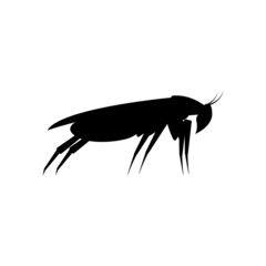 Black silhouette of a cockroach. Side view. Vector clipart and illustration on white background.