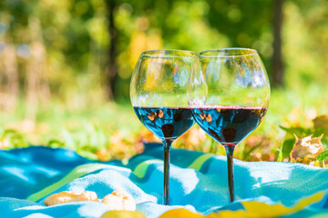 Two wine glasses cozy autumn picnic in the park apple and wine on warm plaid in yellow autumn...