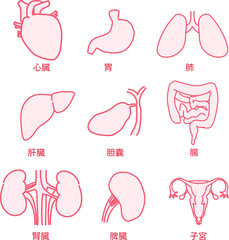 内臓_イラストセット_ピンク