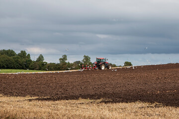 Fototapeta premium Tractor in the Field