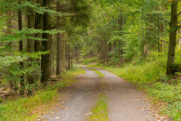 Na górskim szlaku. © boguslavus